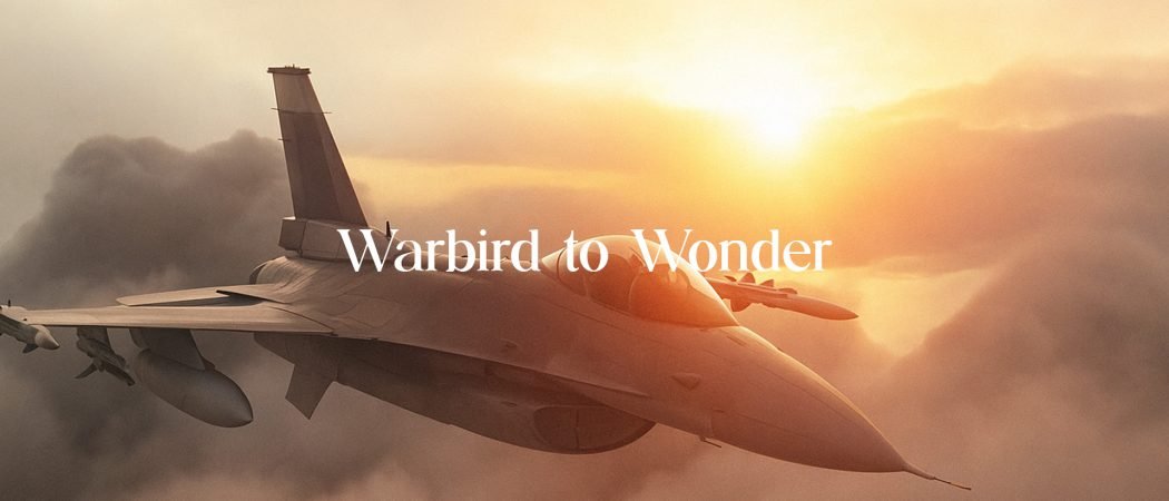 How Collectors Are Restoring Fighter Jets Into Status Symbols